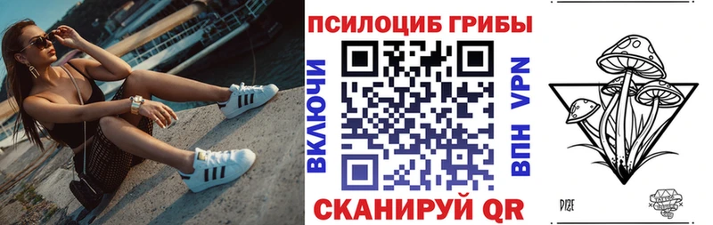 Купить  Мичуринск  Псилоцибиновые грибы Psilocybe 